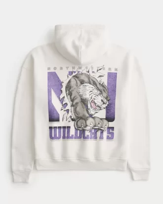 Boxy Northwestern University Wildcats Graphic Hoodie,Boxy Northwestern University Wildcats Graphic Hoodie
