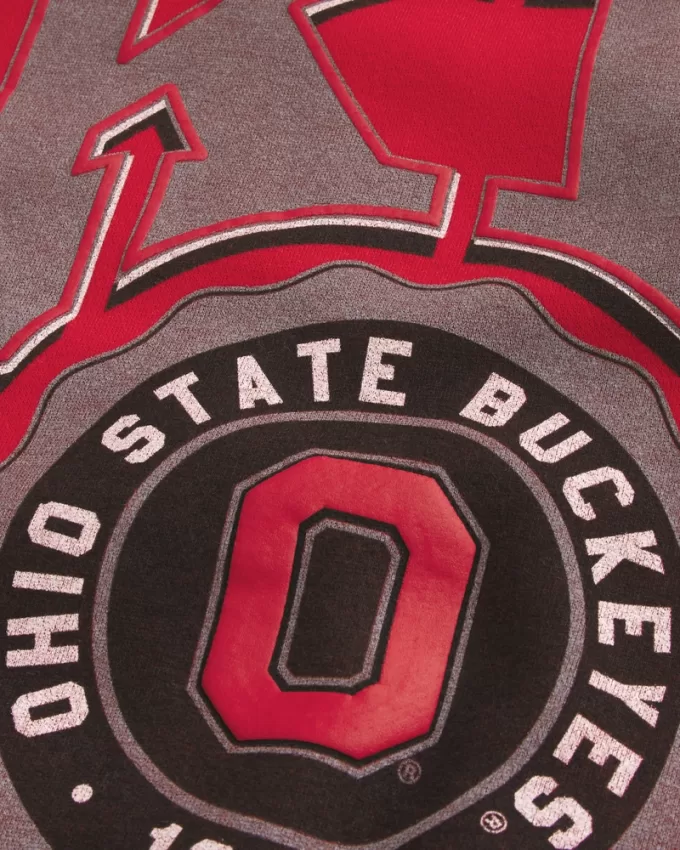 Boxy Ohio State Buckeyes Graphic Hoodie,Boxy Ohio State Buckeyes Graphic Hoodie