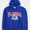 Boxy University of Florida Gators Graphic Hoodie,Boxy University of Florida Gators Graphic Hoodie