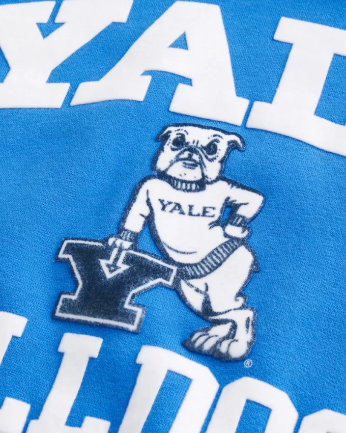 Boxy Yale Bulldogs Graphic Hoodie,Boxy Yale Bulldogs Graphic Hoodie