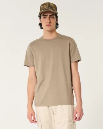 Hollister light brown