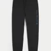 Relaxed Alpine Graphic Fleece Joggers,Relaxed Alpine Graphic Fleece Joggers